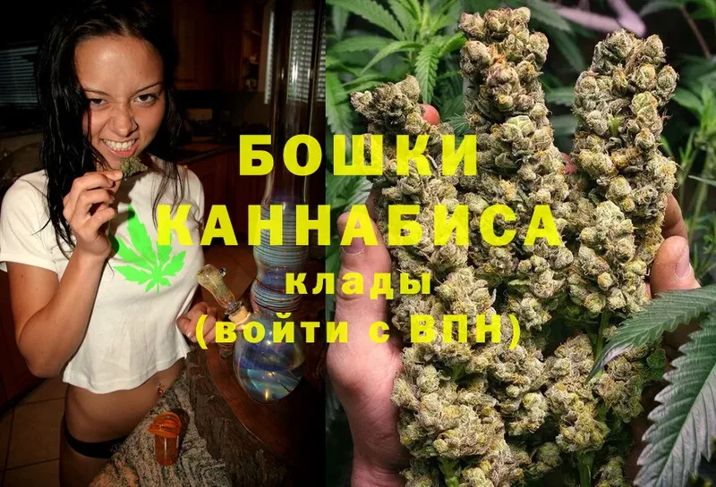 Конопля White Widow  где купить наркотик  Нововоронеж 